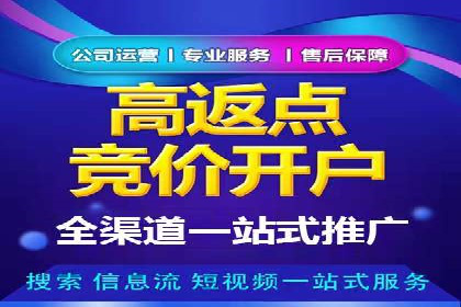 怎样做百度推广：成功案例分析与策略